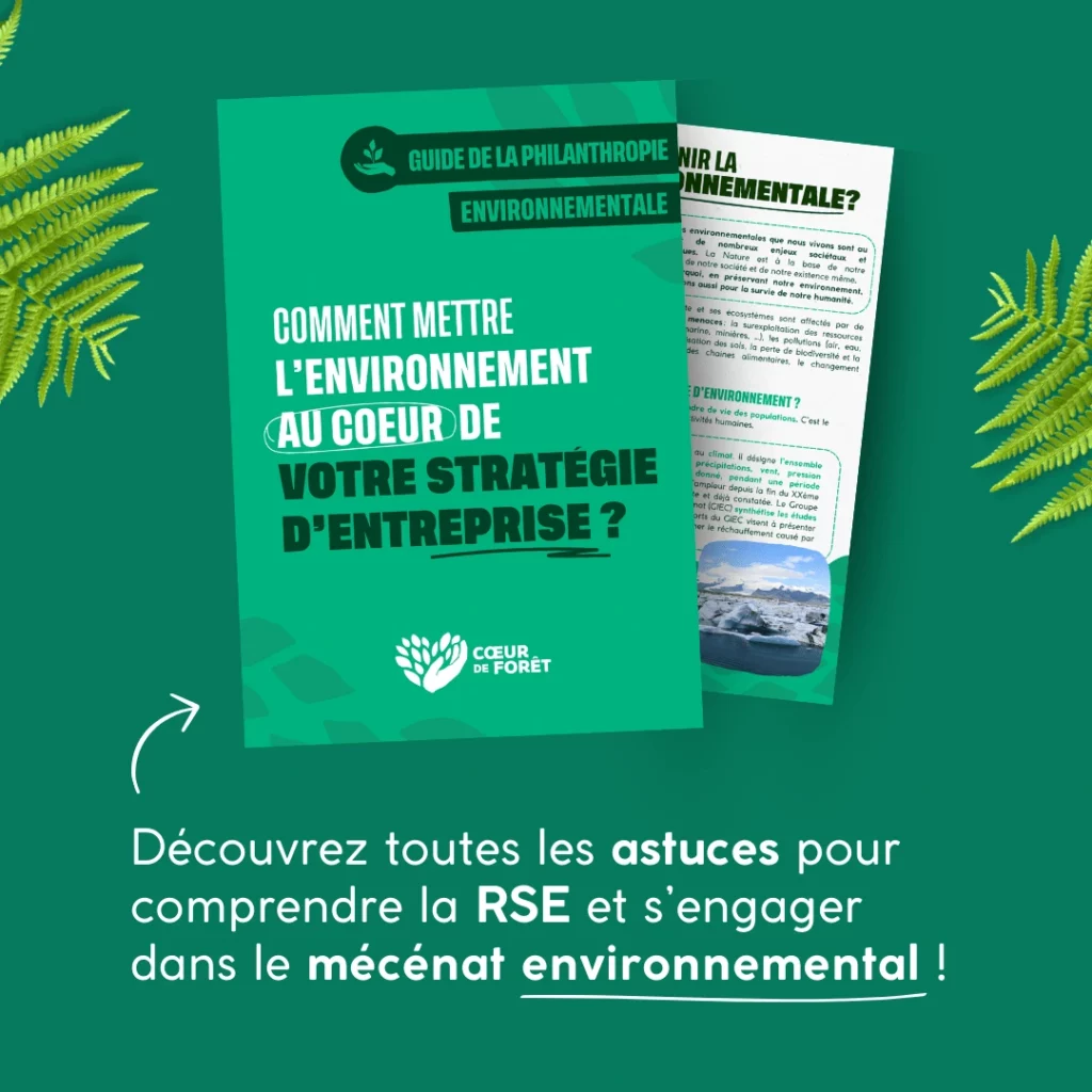 Comment mettre l'environnement au cœur de votre stratégie d'entreprise ?