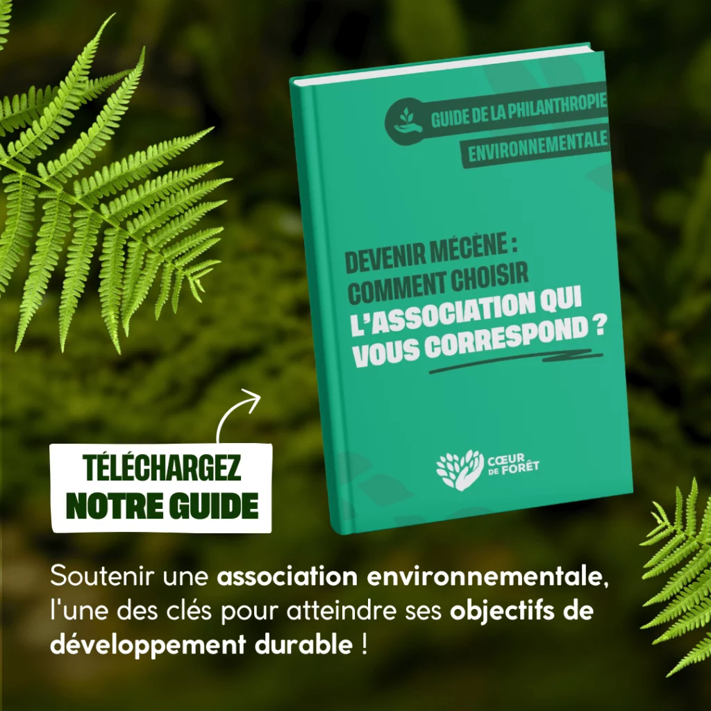 Guide de la philanthropie environnementale, Tome 3 : Devenir mécène : comment choisir l’association qui vous correspond ?