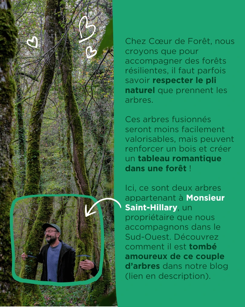 L'exemple de Monsieur Saint-Hillary