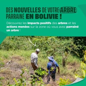 Histoire de la parcelle en Bolivie