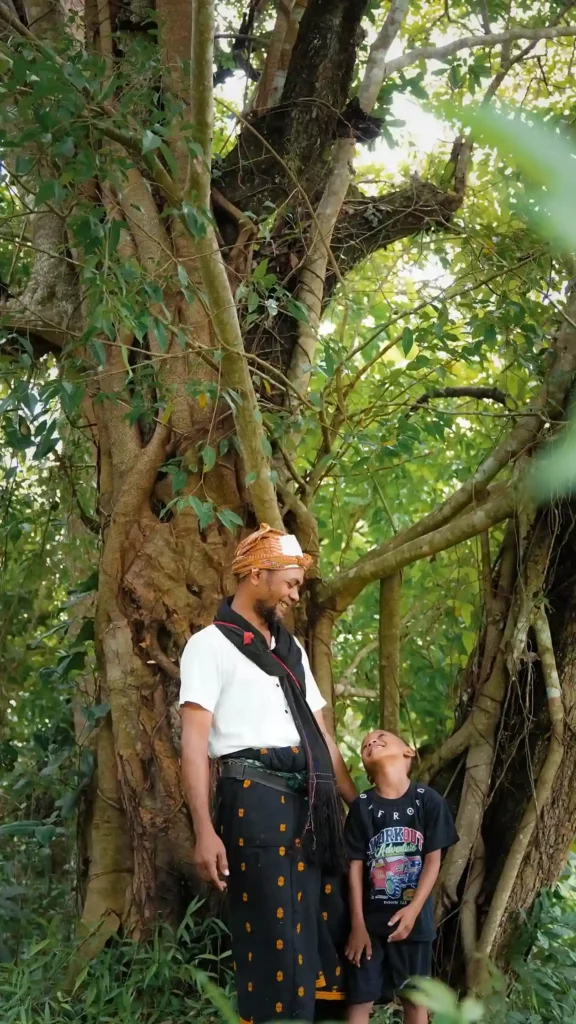 Hermanus Remah gardien du Ficus étrangleur en Indonésie