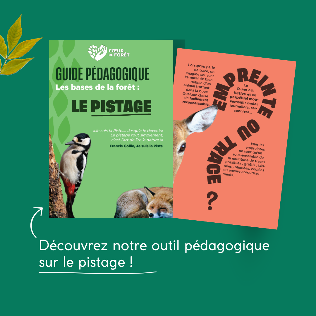 Première page du guide sur le pistage