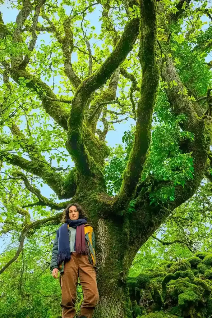 Hyacinthe gardienne du chêne sur le projet France