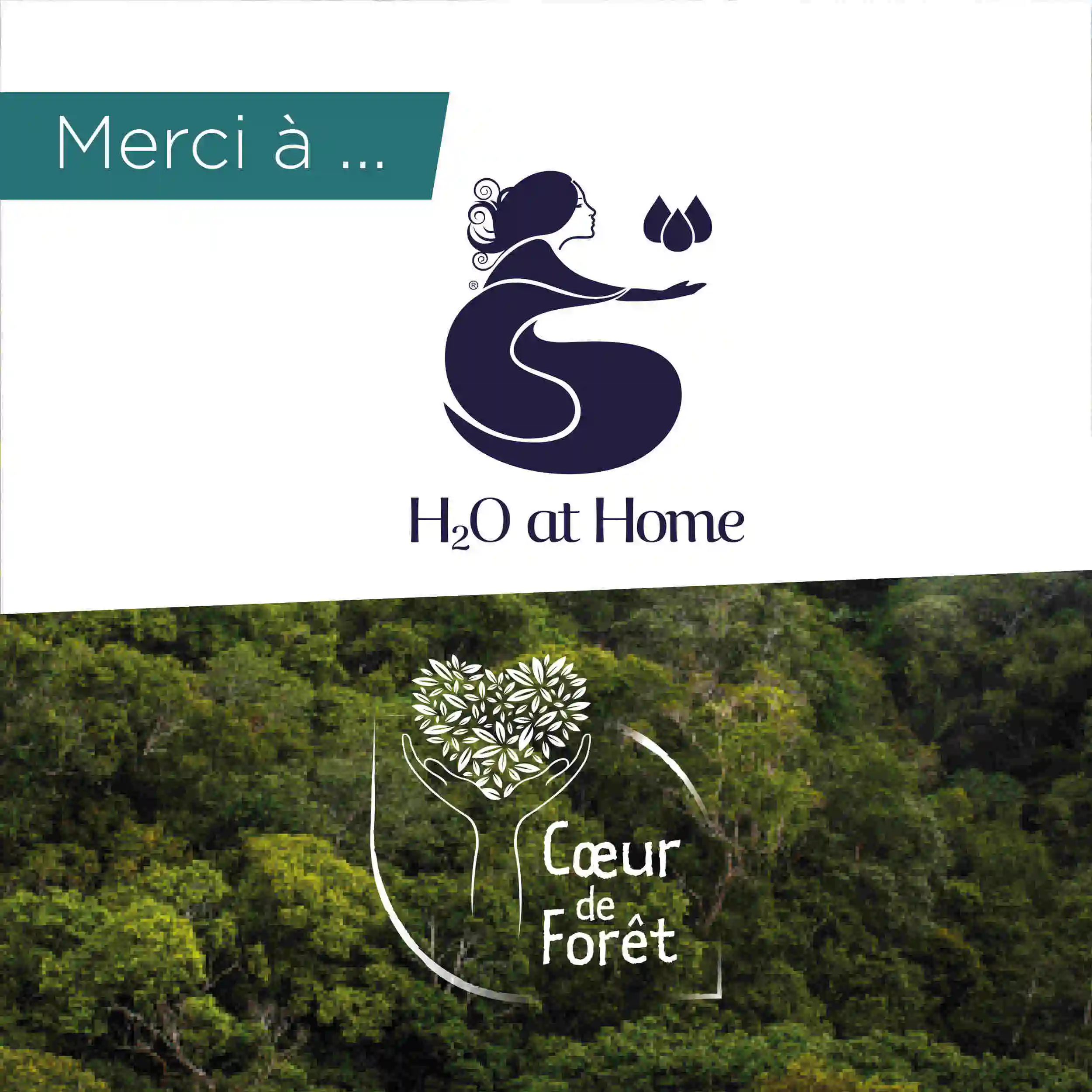 Mécène du mois H2o at Home