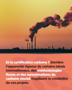 La dérive des crédits carbones