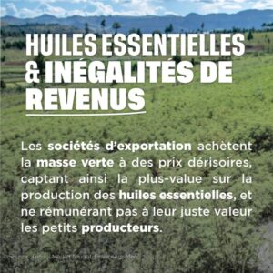 Huiles essentielles et inégalités de revenus