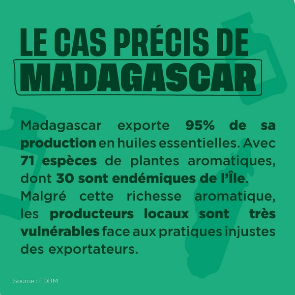Le cas précis des huiles essentielles à Madagascar