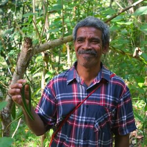 producteur de vanille