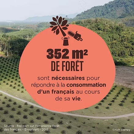 352m2 de forêts sont rasés par l'agriculture