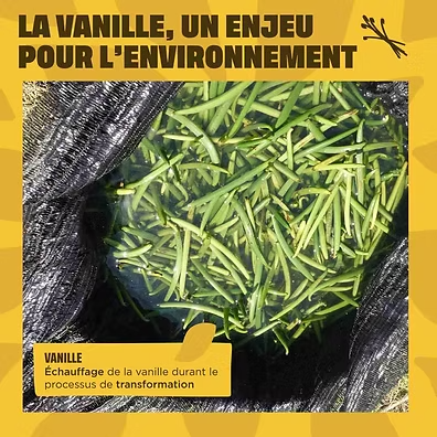 la vanille un enjeu pour l'environnement