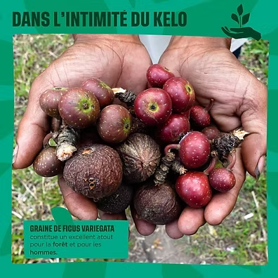 l'intimité du Kelo