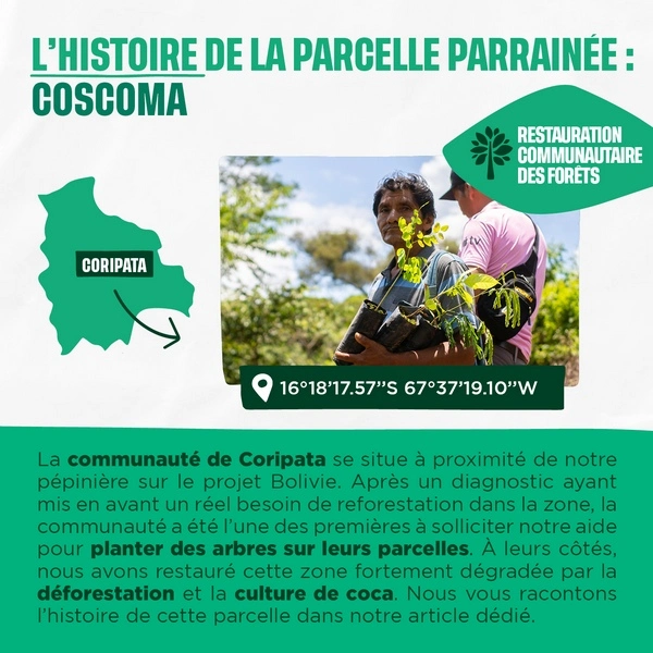 Histoire de la parcelle parrainée