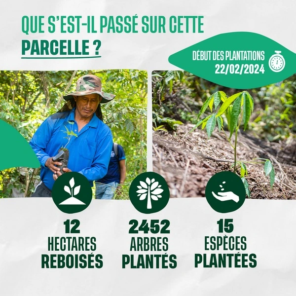 que s'est-il passé sur cette parcelle