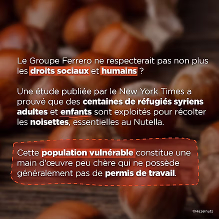 Les noisettes de Nutella et leur impact social