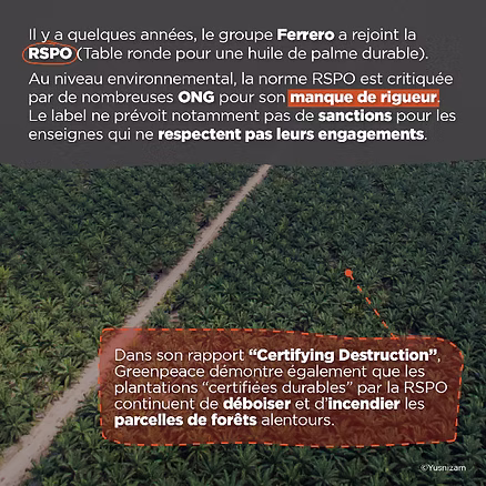 Le lebel RSPO de Nutella