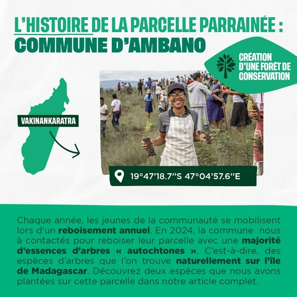 Histoire de la parcelle