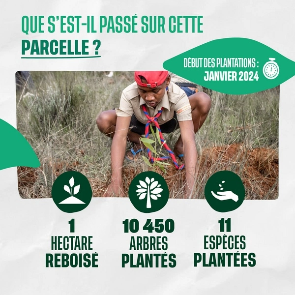 Que s'est-t-il passé sur cette parcelle ?