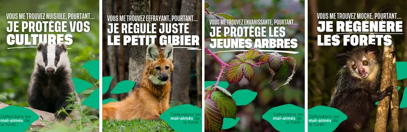 Quelques espèces menacées