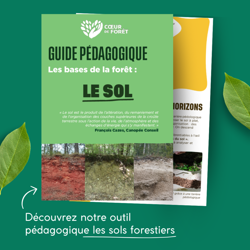 Image de la première page du guide pédagogique
