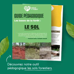 Image de la première page du guide pédagogique