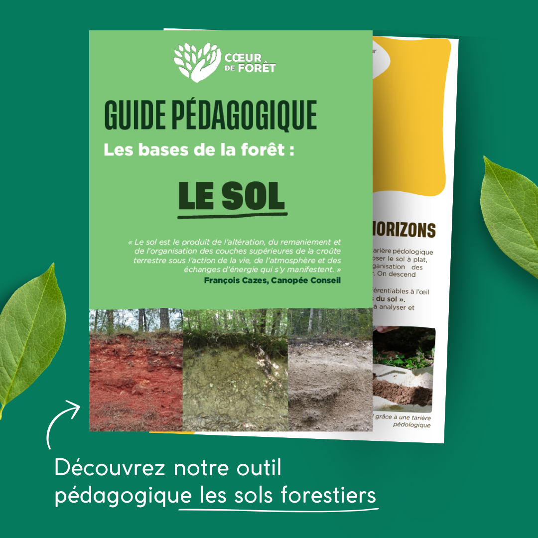Image de la première page du guide pédagogique