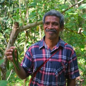 Producteur de vanille en sous-bois en Indonésie