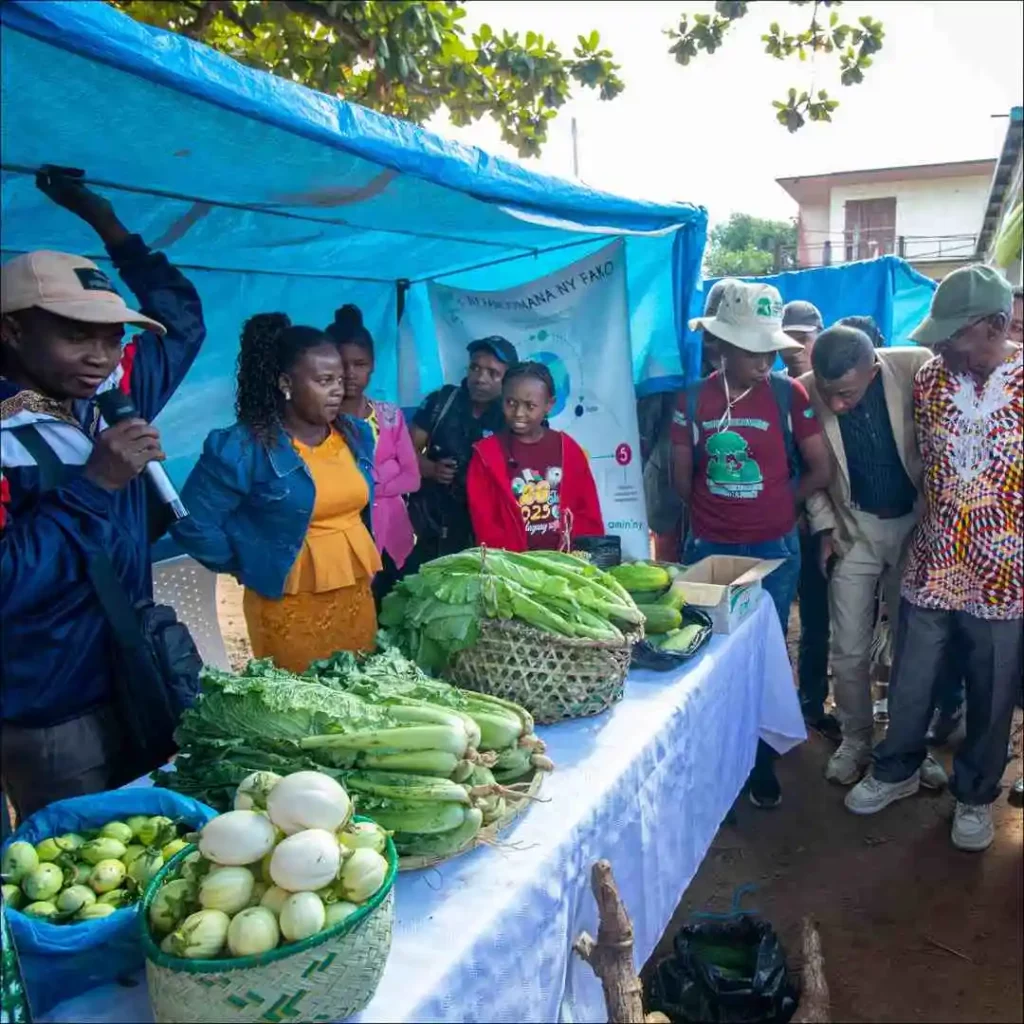Stand avec légumes