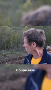 Miniature Coupe Rase