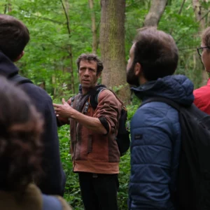 Balade en forêt teambuilding