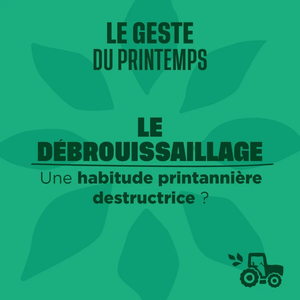 Le débroussaillage geste du printemps