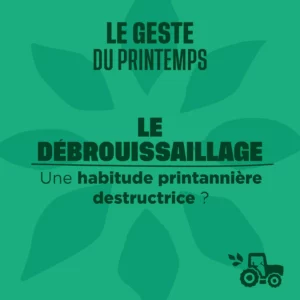 Le débroussaillage geste du printemps
