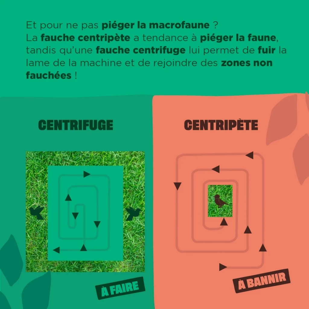 Schéma du sens de débroussaillage à faire