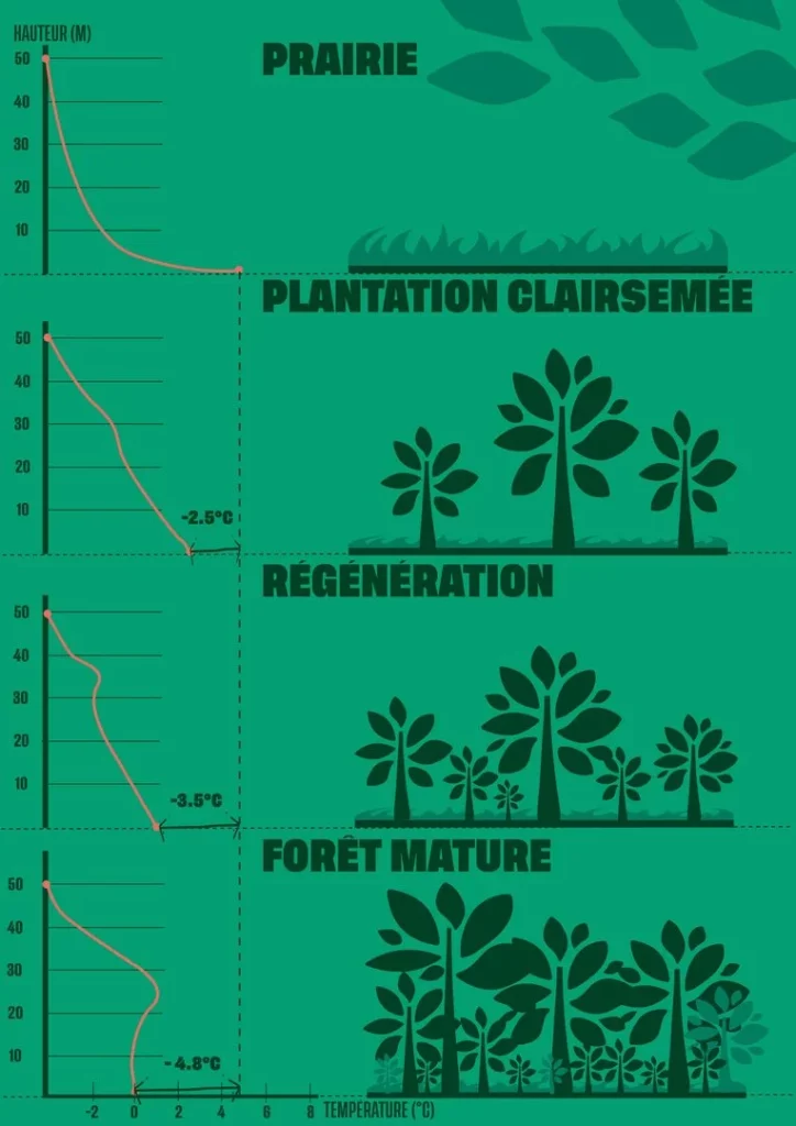 Schéma de la température