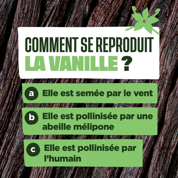 Comment se reproduit la vanille