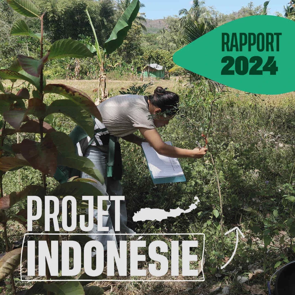 Le Projet Indonésie