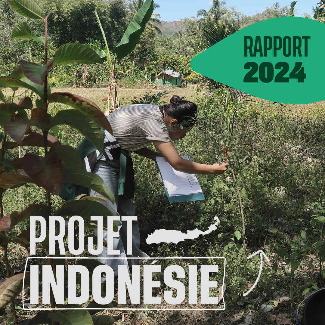 Le Projet Indonésie