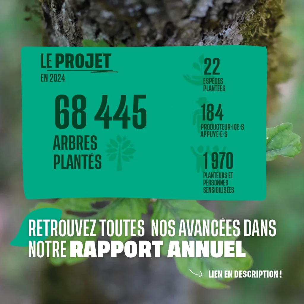 Les chiffres du Projet Indonésie