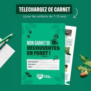 Carnet d'activités en forêt pour enfants de 7 à 12 ans
