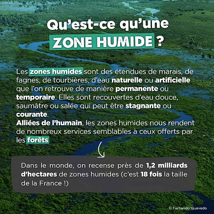 Qu'est ce qu'une zone humide