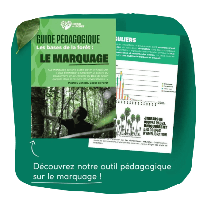 guide marquage des arbres