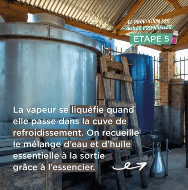 On recueille le mélange d'eau et d'huile essentielle après décantation