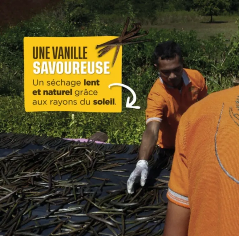 La production d'une vanille savoureuse