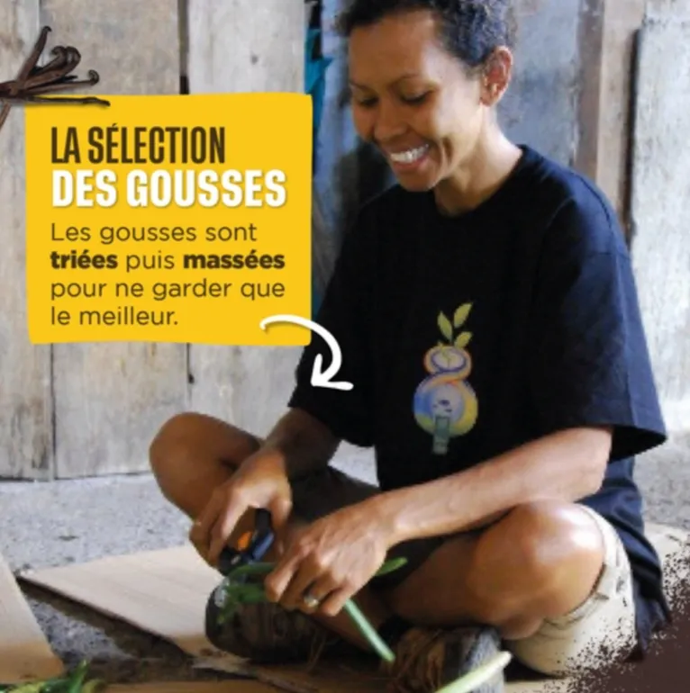 La sélection des gousses de vanille