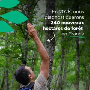 Objectif 2026 de Coeur de Forêt : diagnostiquer 240 hectares de forêt