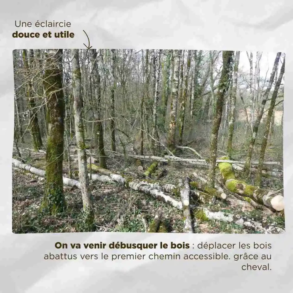 Photo d'une éclaircie douce