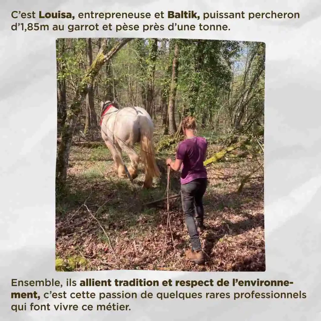 Photo de Louisa et son cheval Baltik