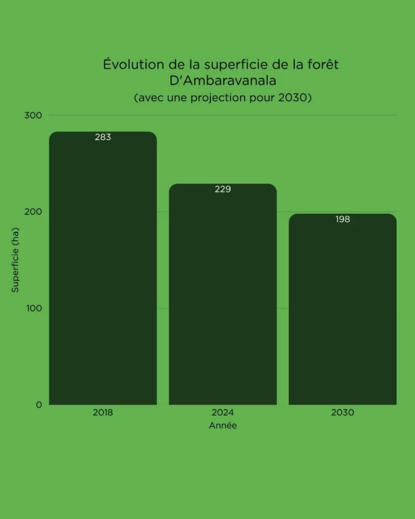 Evolution des hectares