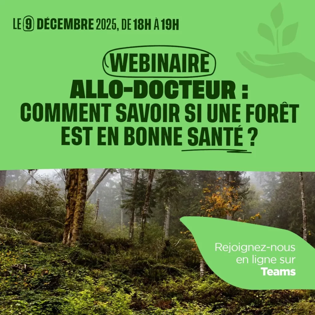 Webinaire animé par Coeur de Forêt: Allo-docteur, comment savoir si une forêt est en bonne santé ?"