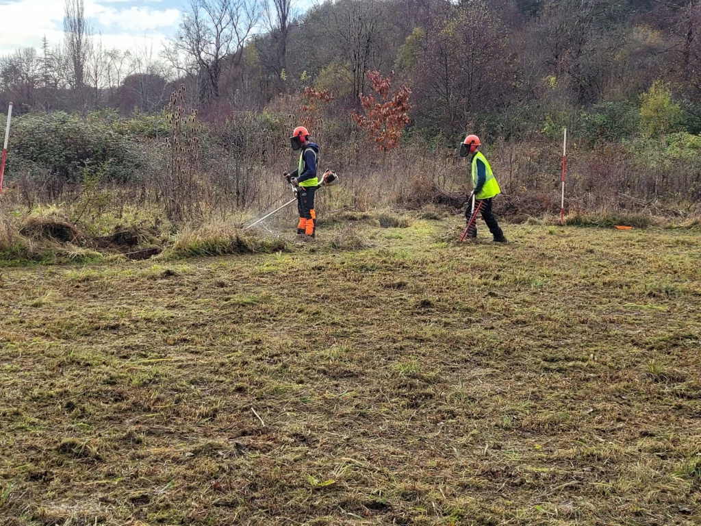 Chantier de débroussaillage avec les lycéens