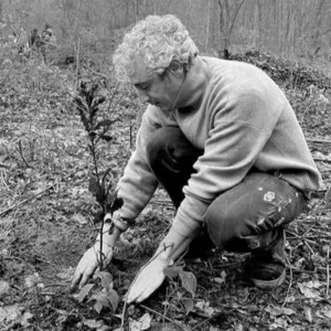 Jérôme Dreyfuss plante un arbre